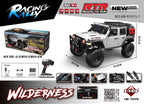 HB R1015 1/10 RC rock crawler with differential lock India