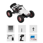 Hobby-grade 4WD RC off-road truck outdoor action
